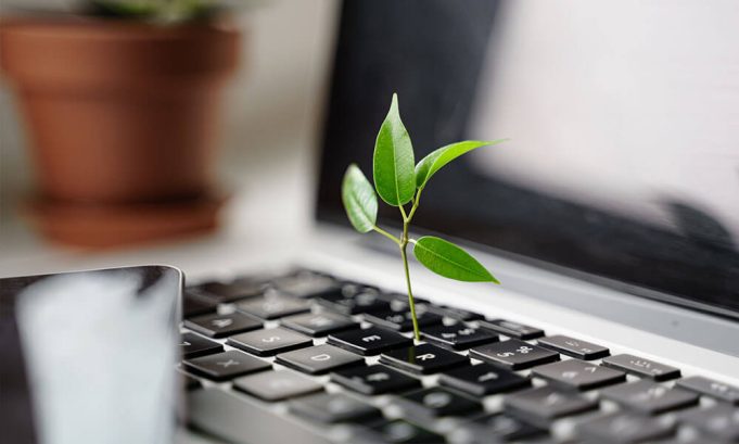 Sobriété numérique et Green IT : quelques incontournables à adopter