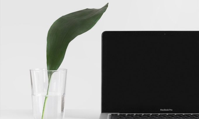 Mind7 Consulting lance une offre Green IT