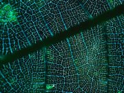 Schneider Electric et Greenly renforcent le programme Decarbonization Champion
