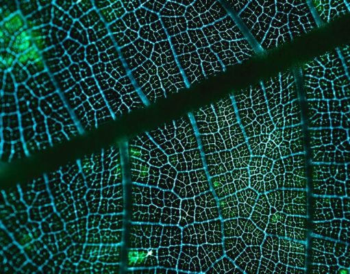 Schneider Electric et Greenly renforcent le programme Decarbonization Champion